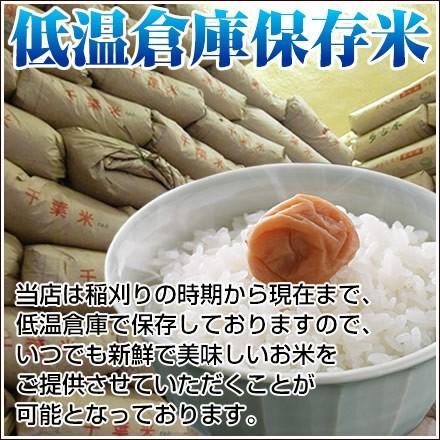新米 米 10kg （5kg×2） 玄米 令和5年 千葉県産 粒すけ お米 白米 精米 無料 送料無料 ※地域によりまして別途送料が発生致します。