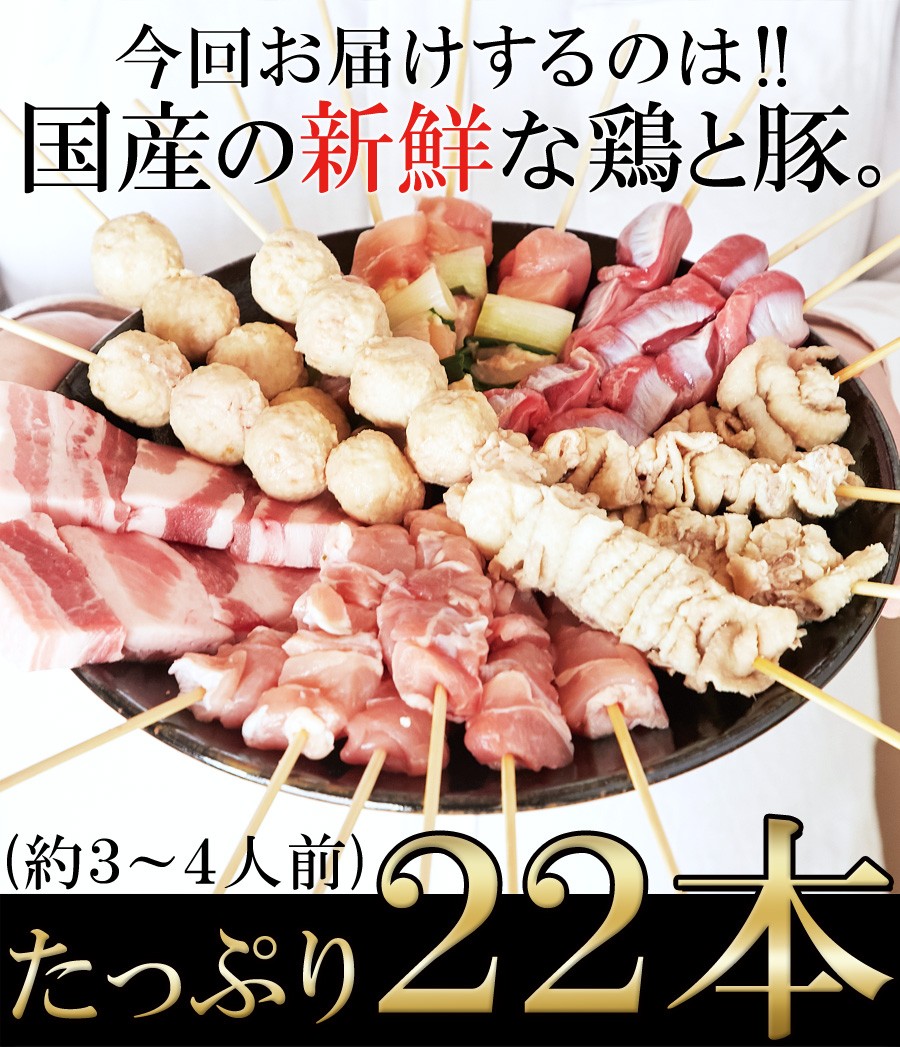 九州産焼き鳥セット22本入り 手刺しにこだわった本格派!!