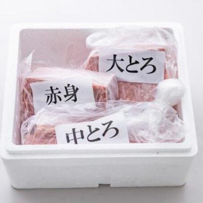 ふるさと納税 静岡市 極寒天然南鮪味わいセット(大とろ約250g・中とろ約500g・赤身約250g)