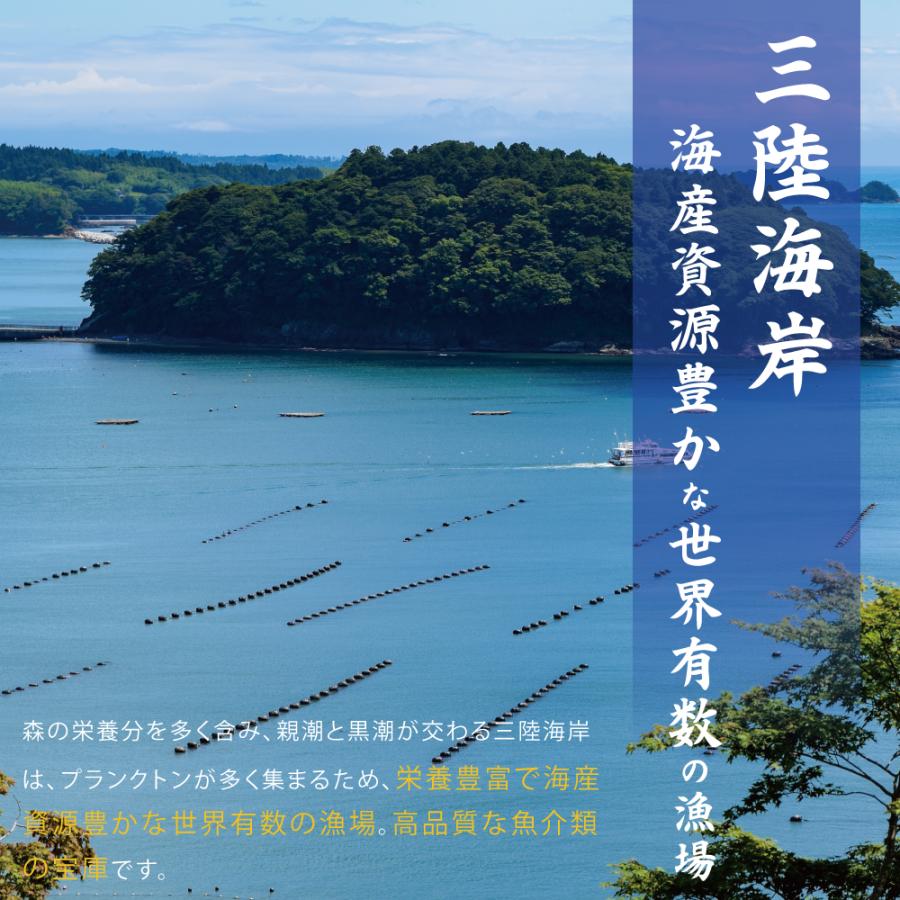 お歳暮 クリスマス ギフト わかめ ワカメ 三陸産 おさしみわかめ 200g 1パック 塩蔵わかめ 湯通し塩蔵わかめ 肉厚 やわらか 宮城 気仙沼 お取り寄せ グルメ