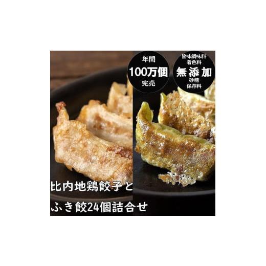 ふるさと納税 秋田県 秋田市 年間100万個完売！餃子の餃天