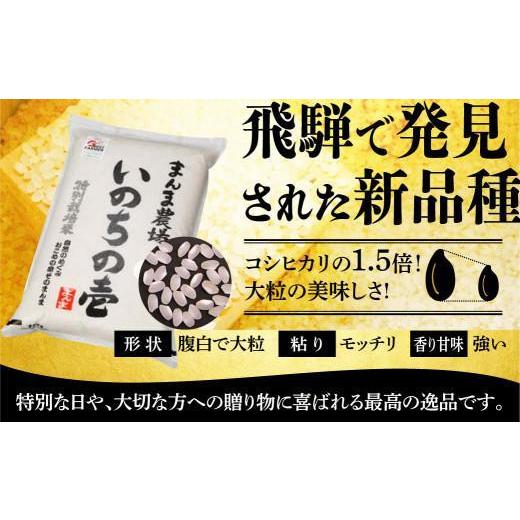 ふるさと納税 岐阜県 高山市 お米 いのちの壱  5kg 白米 新米 特別栽培米  金賞受賞農家 品種別金賞 日本一４度受賞 飛騨 まんま農場 LT003