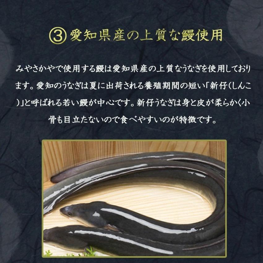 鰻の蒲焼き 100g 2袋 国産 うなぎ 蒲焼　丑の日 父の日 お中元 ギフト みやさかや