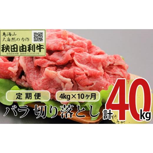 ふるさと納税 秋田県 にかほ市 《定期便》10ヶ月連続 秋田由利牛 バラ切り落とし 4kg（1kg×4パック）