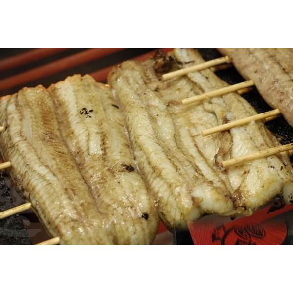 国産（浜名湖・一色）特選うなぎ 長白焼き 特大 約800g（160g×5本） 山椒、蒲焼きのたれ付