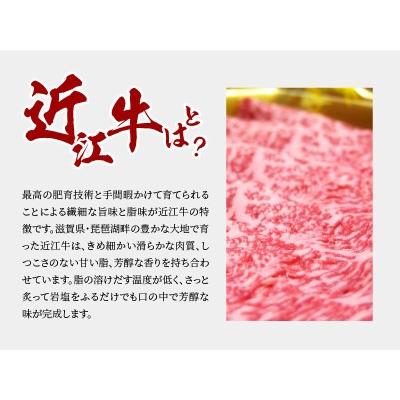 ふるさと納税 近江牛ロース　200ｇ×2　近江牛ヒレ　150ｇ×2 滋賀県守山市