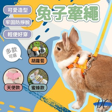 【DC寵物有發票】🐾兔子牽繩 兔子外出牽引繩 胡蘿蔔 牽引繩 兔牽繩 兔子胸背牽繩 外出放風繩 紅蘿蔔寵物牽繩 B101