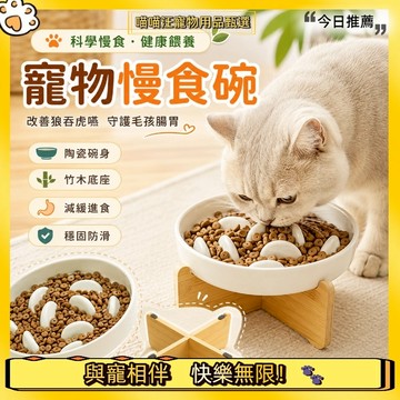 【喵喵汪甄選】🐱貓咪慢食碗 貓飼料碗 貓咪飼料碗 寵物陶瓷碗 寵物慢食碗 陶瓷貓碗 貓碗 寵物碗 慢食碗