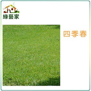 【綠藝家】四季春草皮種子1公斤裝(有藥劑處理)(四季青草皮種子)