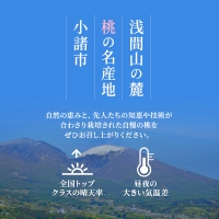 2024年発送 先行予約 浅間水蜜桃 みつおかの もも 川中島白桃 秀品 約2kg 5～9玉