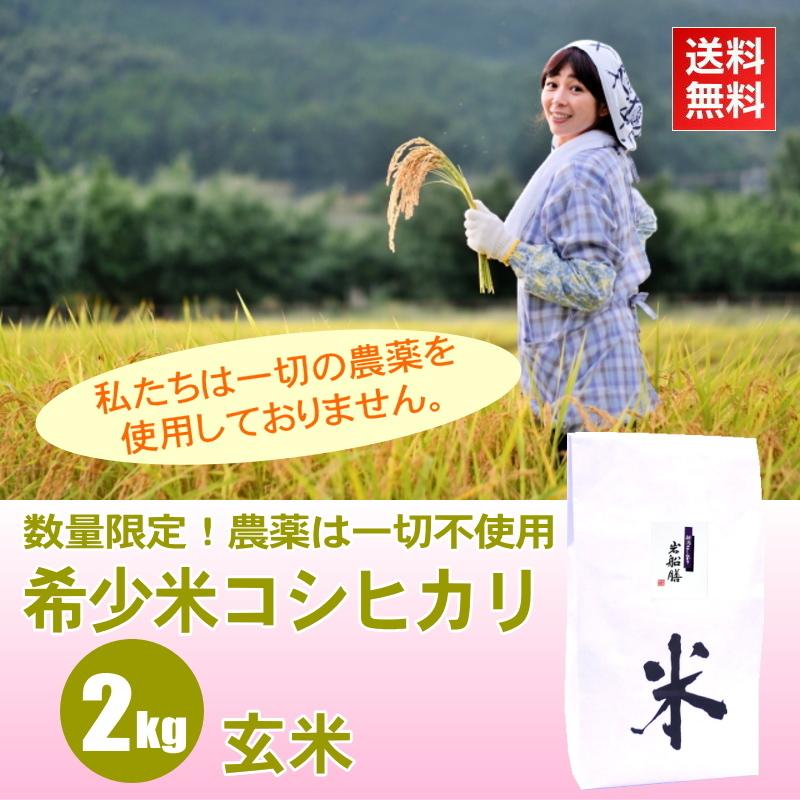 米 2kg 希少米コシヒカリ 玄米   農薬不使用 合鴨農法 お米 新潟 岩船産 令和5年産 新米   人気 おいしい 新潟米 こしひかり 送料無料