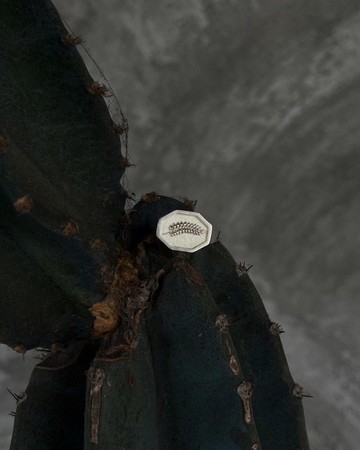 KUÂN KUÂN 綠植系列 封蠟戒 蕨類戒 純銀