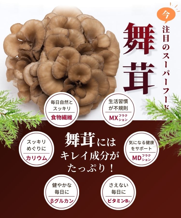 温活農園 舞茸粉末 80g 舞茸茶 国産 まいたけ粉末 まいたけ茶 まいたけ マイタケ 茶 粉末 舞茸パウダー 送料無料 ママセレクト