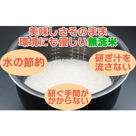 ふるさと納税 南魚沼産こしひかり無洗米（2kg×10袋×全9回） 新潟県南魚沼市