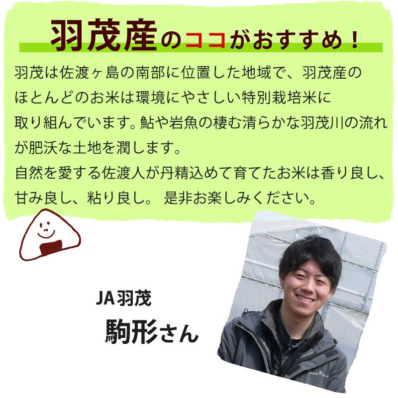 お米 20kg 送料無料 米物語 佐渡産コシヒカリ 20kg(5kg×4) JA羽茂 新潟米