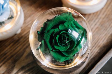 綠玫瑰/花夜燈/永生花玻璃盅/生日禮物/聖誕禮物/永生花禮/不凋花