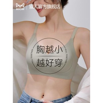 貓人內衣女小胸聚攏上托防下垂收副乳胸罩調整型無痕顯大透氣文胸
