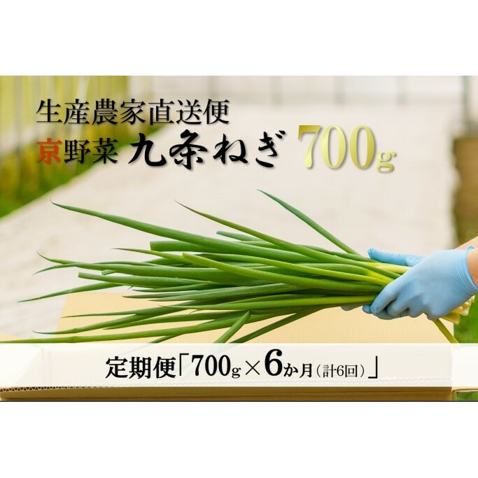 生産農家直送　京野菜・九条ねぎ  700g×6回