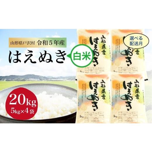 令和5年産 山形県戸沢村 厳選 はえぬき  20?（5kg×4袋） ＜配送時期指定可＞