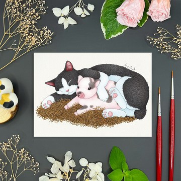 【貓瘋子】明信片(119)
