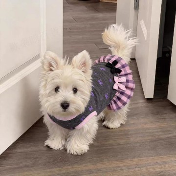 寵物寶貝衣服 寵物狗狗衣服 春夏寵物服裝 小型犬連衣裙 寵物可愛洋裝 寵物蝴蝶結裙 寵物公主裙 寵物外出服 甜美可愛