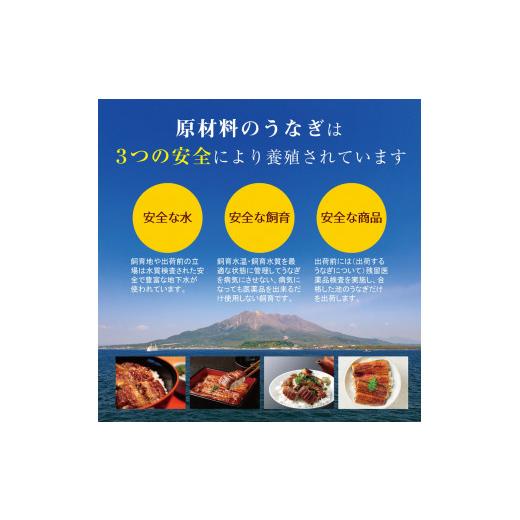 ふるさと納税 鹿児島県 鹿屋市 1772-1 うなぎ問屋の厳選！　備長炭手焼　うなぎ蒲焼2尾（280ｇ）