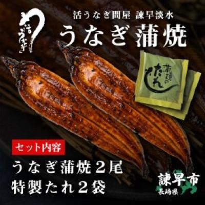 ふるさと納税 諫早市 うなぎ蒲焼2尾