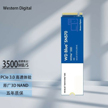 適用M.2 西數 藍盤 SN570 250G/500G/1T/2T 固態硬盤 NVMe 家用辦【北歐家居生活】