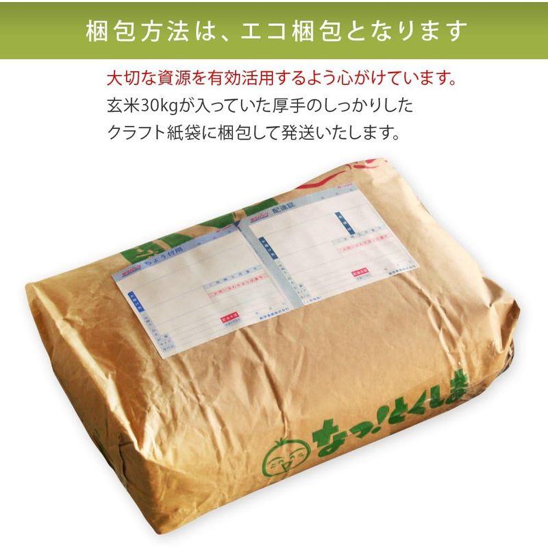 新米 令和5年 高知県産 白米 コシヒカリ (10kg)