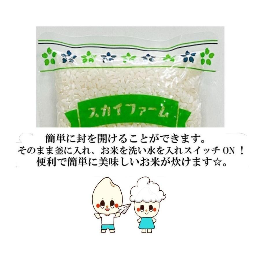 新米 令和5年産 岡山県産 ヒノヒカリ 900g  ポイント消化 白米 食品 お試しセット 1kg以下 メール便 国産 送料無料