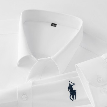 【新款熱賣】刺繡馬球logo男士長袖襯衫翻領男士商務休閑上衣秋季新款青年男裝