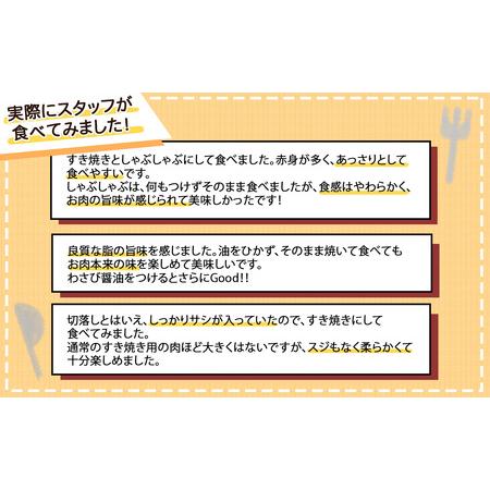 ふるさと納税 ［6回定期］九州産黒毛和牛切落し 合計5.1kg NK0042 佐賀県大町町