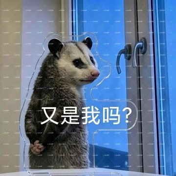 療癒好物✨ 打工人桌面擺件 辦公桌療癒小物 上班族必備紓壓公仔 招財開運小擺件 創意小物 生日交換禮物網紅爆款負鼠表情包