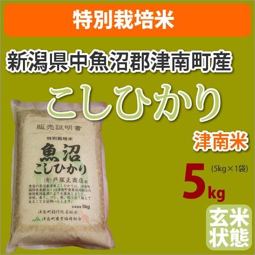 ≪特別栽培米≫新潟県中魚沼郡津南町産「津南米」玄米5kg