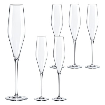 RONA Swan天鵝系列 氣泡酒杯6件組  190ml  1組