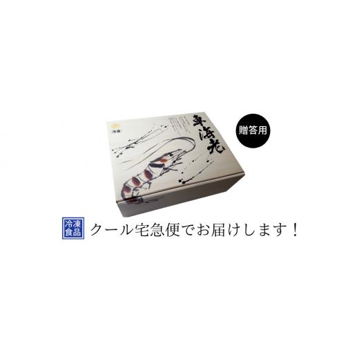 ふるさと納税 鹿児島県 西之表市 ジャンボ車えび（生食用冷凍・化粧箱入り）　600ｐｔ　NFN110