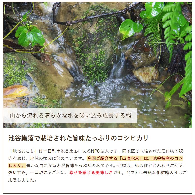 特別栽培米（減農薬・減化学肥料）魚沼産 棚田栽培 山清水米コシヒカリ（従来品種）玄米10kg（5kg×2）NPO法人地域おこし 送料無料