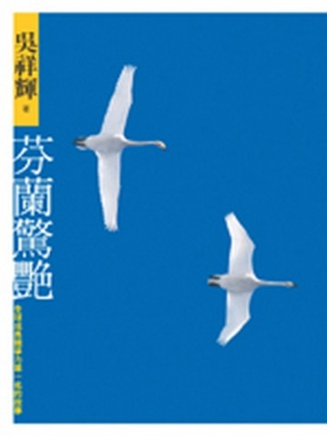 芬蘭驚艷：全球成長競爭力第一名的故事[二手書_普通]