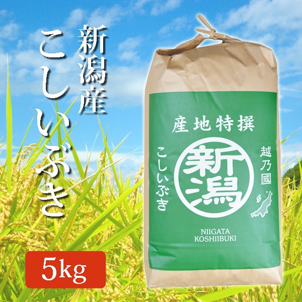 2022年度産 玄米 米 新潟県産こしいぶき5Kg