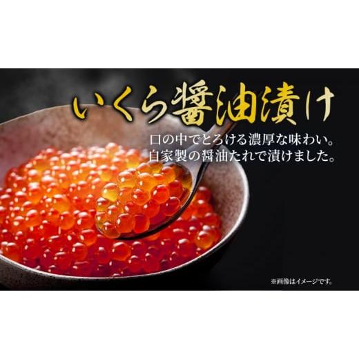 ふるさと納税 北海道 洞爺湖町 北海道産 いくら醤油漬け 200g 2パック 計400g 北海道 イクラ醤油漬け 小分け いくら 国産 イクラ 海鮮 魚介 魚卵 海産物 醤油…