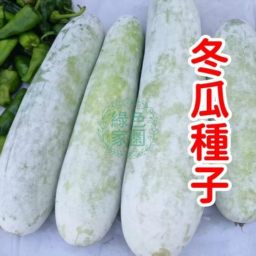 臺灣在地培育！爆款超高产冬瓜種子，綠皮厚肉抗病強，家庭菜園必備，輕鬆收穫巨型冬瓜，限時優惠中！