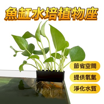 魚缸水培植物座 魚缸邊框水培植物置物架 植物培育支架