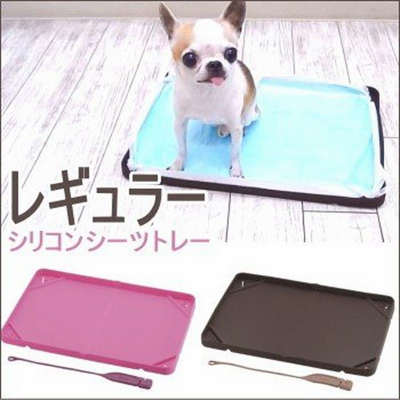 おでかけ シリコン シーツトレー レギュラー チワワ 小型犬 トイレトレー ペット トイレ用品 旅行 散歩 通販 Lineポイント最大get Lineショッピング