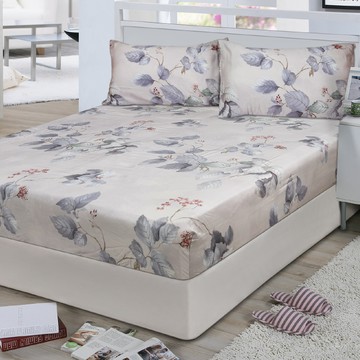 【多利寶寢具】FITNESS_100%純天絲雙人60支床包枕套三件組-雅桐灰