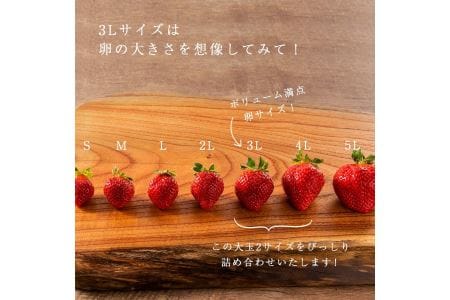 ★身近な人間関係のお祝いに★「完熟あまおう」3L～4Lミックス詰め合わせ900g入り