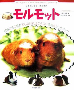  モルモット 小動物ビギナーズガイド／すずき莉萌，井川俊彦