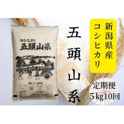 ふるさと納税 阿賀野市 「米屋のこだわり阿賀野市産」コシヒカリ5kg×10回