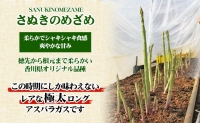 極太アスパラガス50cm ロングサイズ 5本