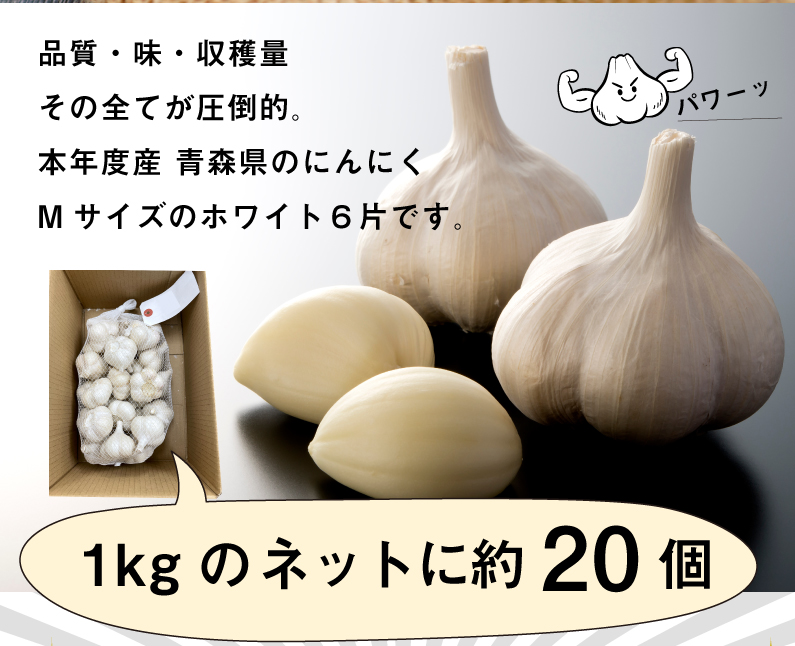 青森 にんにく5kg Mサイズ 約100玉 福地ホワイト6片 国産 ニンニク 新物 送料無料 Y常