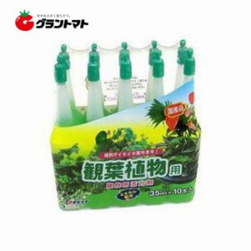 活力液肥観葉植物 35ml 10本入り 園芸 肥料 アンプル ヨーキ産業 通販 Lineポイント最大1 0 Get Lineショッピング